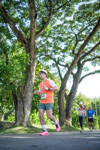 BIB: 
                            <button type="button" onclick="openModal(26546031)" class="btn btn-primary btn-sm float-right btn-popup" data-toggle="modal" data-target=".modal-high-quality">
                        <i class="fas fa-shopping-cart"></i> Add to Cart
                    </button>
                                            <button type="button" onclick="isThisMe(26546031, true)" class="btn btn-success btn-sm float-right btn-popup btn-isme hidden" data-toggle="tooltip" data-placement="bottom" title="นี่คือรูปของคุณใช่ไหม คลิกที่นี่เพื่อเอาเข้าอัลบั้ม">
                        <i class="fas fa-plus"></i> Add to album
                    </button>
                    <button type="button" onclick="isThisMe(26546031, false)" class="btn btn-warning btn-sm float-right btn-popup btn-isnotme hidden">
                        <i class="fas fa-ban"></i> Remove from album
                    </button>